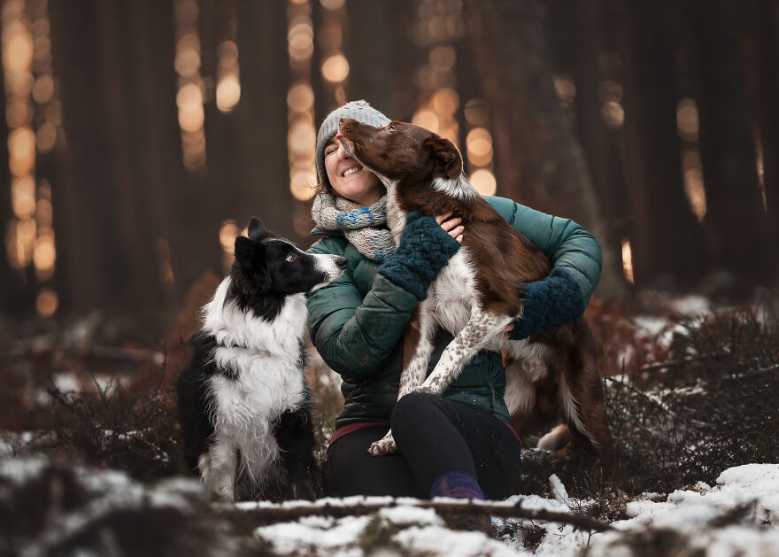 Stunning Photos Of My Two Border Collies By Emily Abrahams