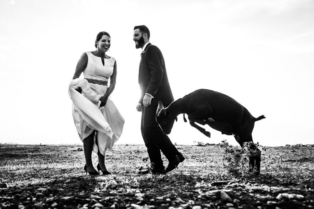 FdB Wedding Story: The Best Photographs Taken During A Wedding Day