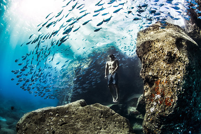 Winners of the 2020 World Nature Photography Awards