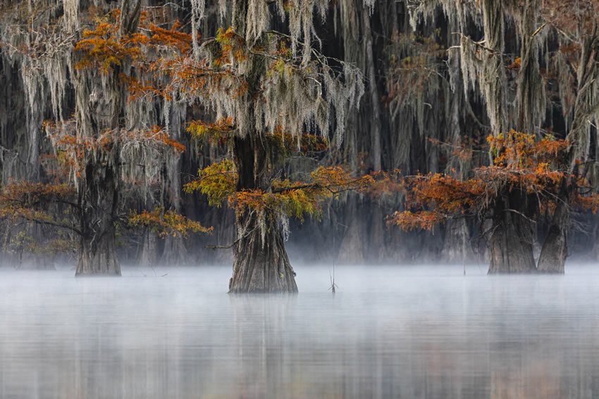 Winners of the 2020 World Nature Photography Awards