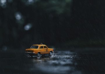 Blending Nature With Miniature By Anindo Rudro