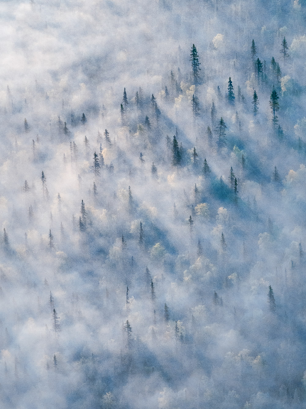 Swedish Lapland: Land Of The Eight Seasons By Tobias Hägg