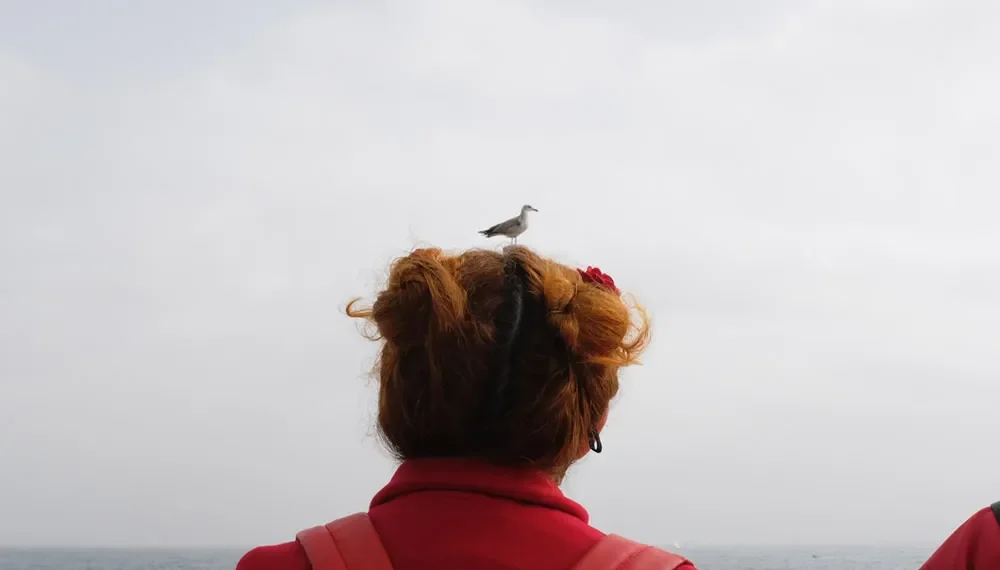 My Personal Best: Spanish Street Photographer Antonio García Andrés 27 Seagull perched on a woman's hair by the sea, candid street photo