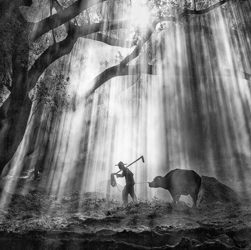 Winners Of Black and White Photo Competition By Masters Of Photography