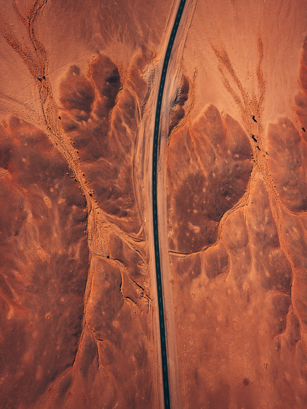 Namibia, Full Of Life: Beautiful Desert Photography By Tobias Hagg