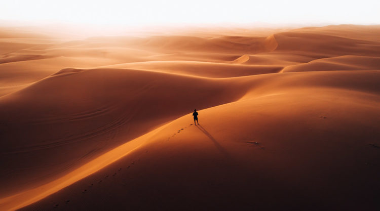 Namibia, Full Of Life: Beautiful Desert Photography By Tobias Hagggg