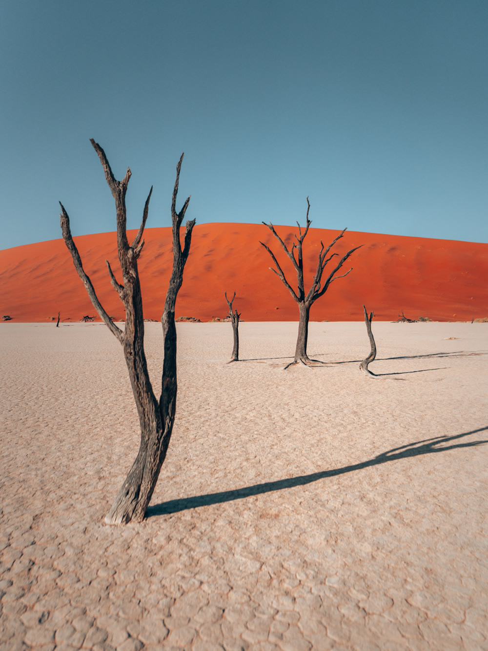 Namibia, Full Of Life: Beautiful Desert Photography By Tobias Hagg