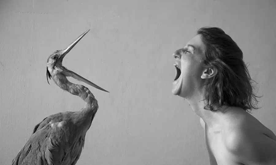 PHOTO IS:RAEL – Open Call For Participation In The 9th International Photography Festival