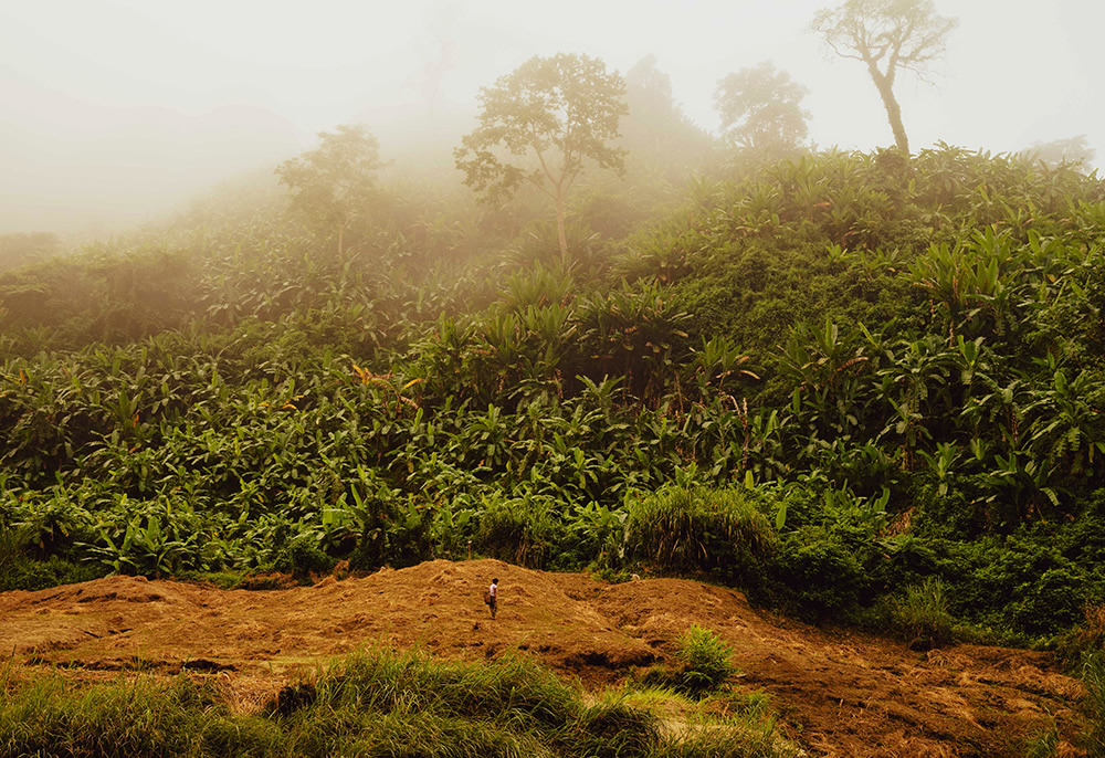 The Fairytale Of Bangladesh: Photo Series By Arif Zaman