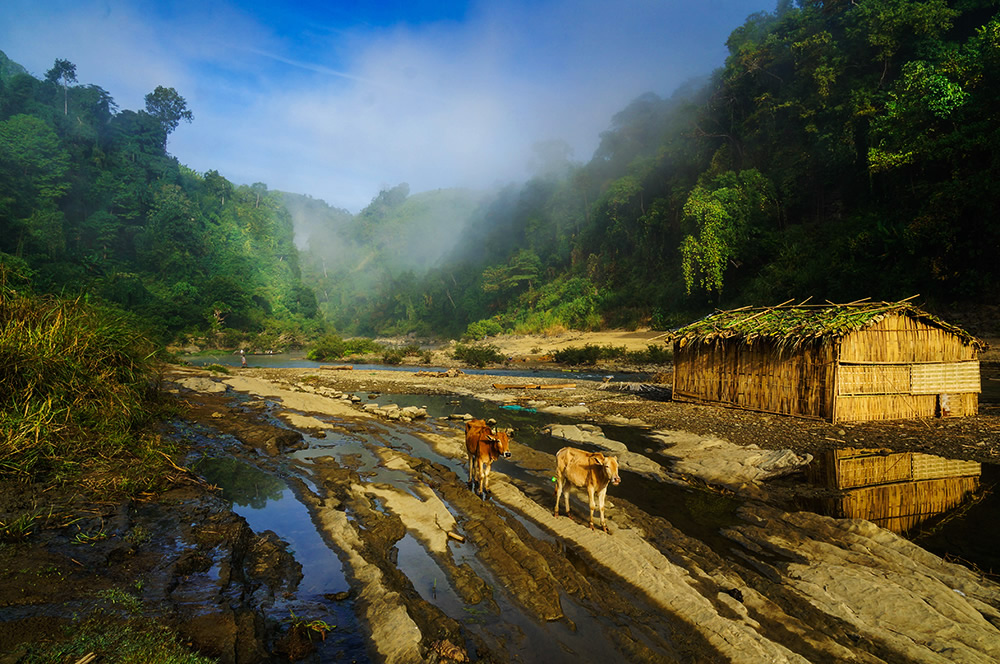 The Fairytale Of Bangladesh: Photo Series By Arif Zaman