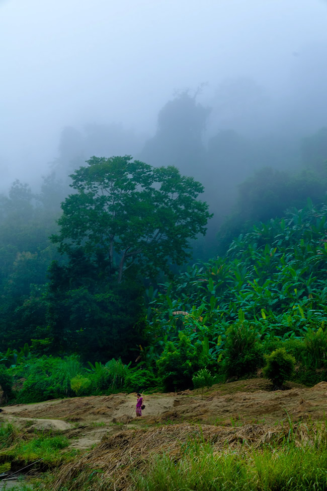 The Fairytale Of Bangladesh: Photo Series By Arif Zaman