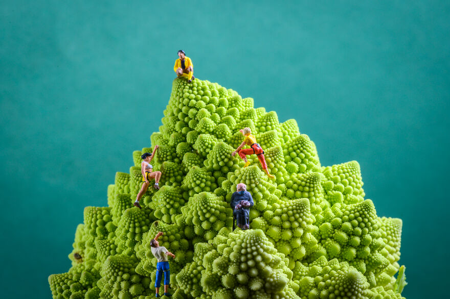 Tiny World Miniature Photography By Peter Csakvari