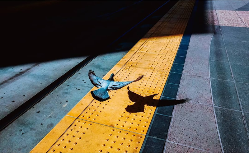 The best color street photography composition photos