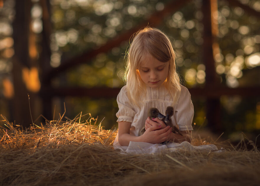 Lisa Holloway Kids Photography With Farm Animals