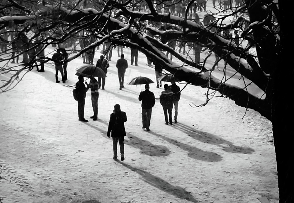 Beautiful Shimla In Black And White By Chanda Mathur