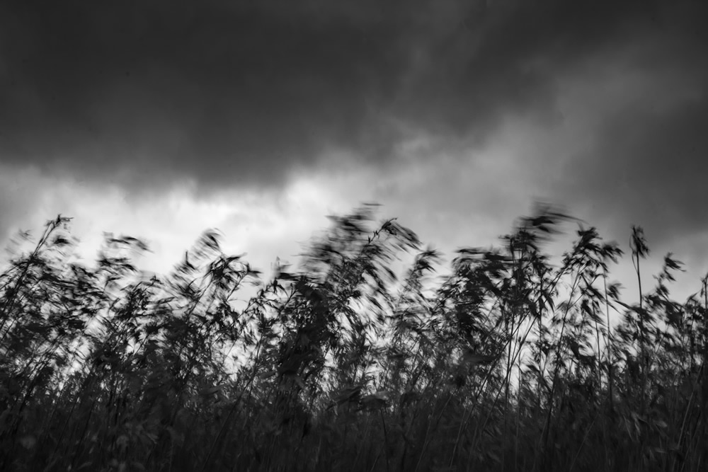 When The Monsoon Comes: Photo Series By Tuhin Biswas 