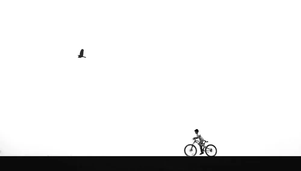 Child on bicycle and soaring bird, minimalist black and white photo