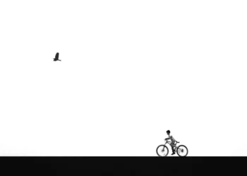 Child on bicycle and soaring bird, minimalist black and white photo