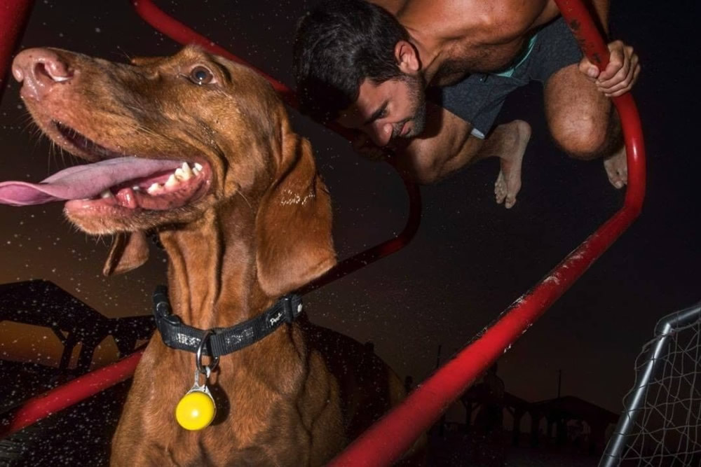 Amazing Photos From Animal IN Street Instagram Page 