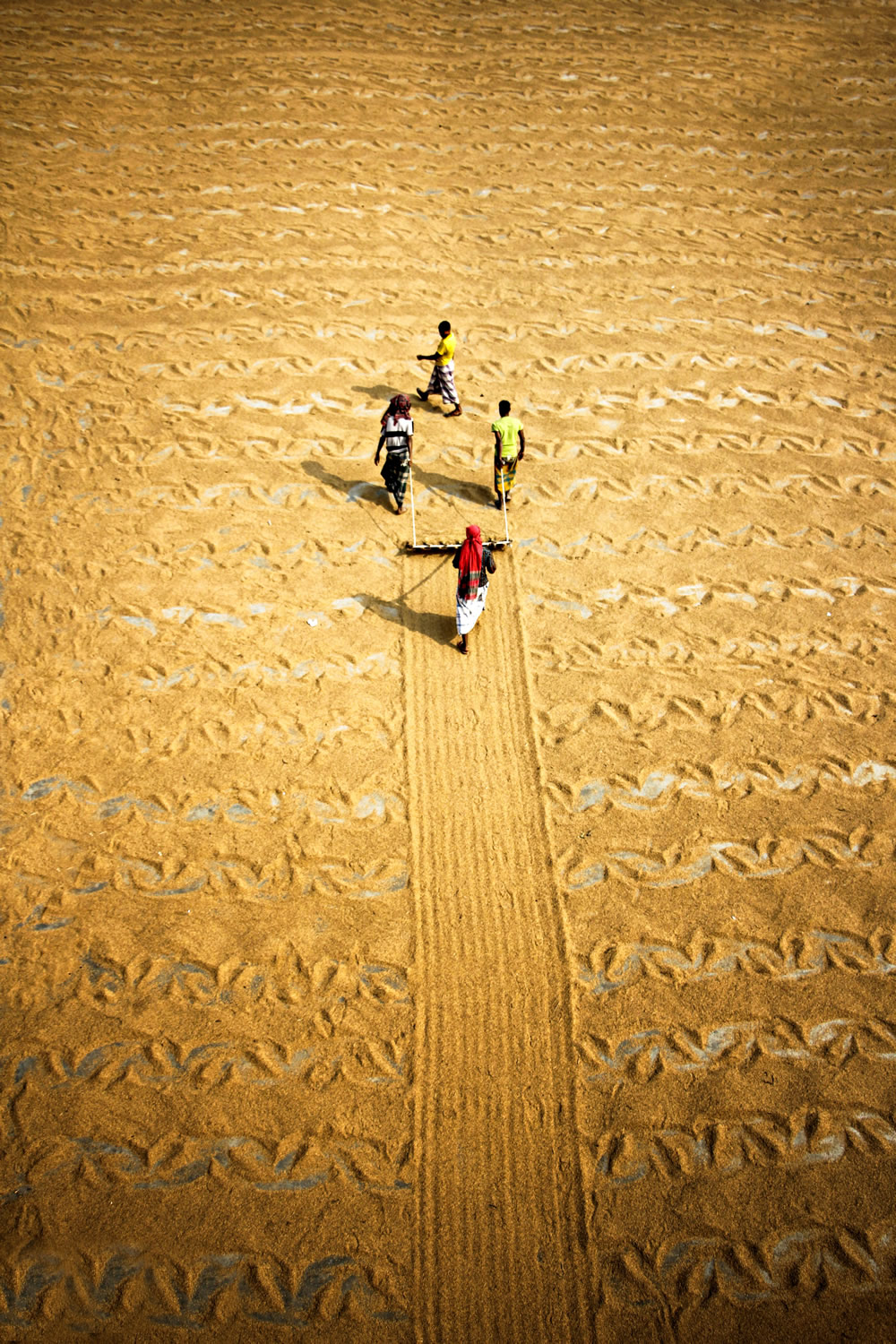 Drying The Paddy In The Sunlight Chatal By Rayhan Ahmed