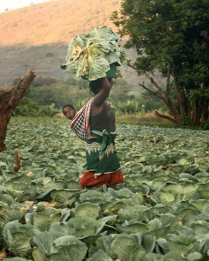 Everyday Life And Hardships Of Mozambican People By Gregory Escande