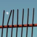 minimalist photography awards 2021