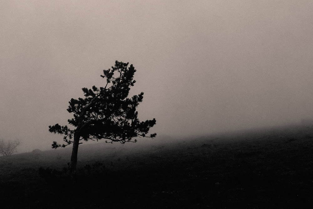 My Personal Best: Italian Photographer Pierpaolo Francesconi