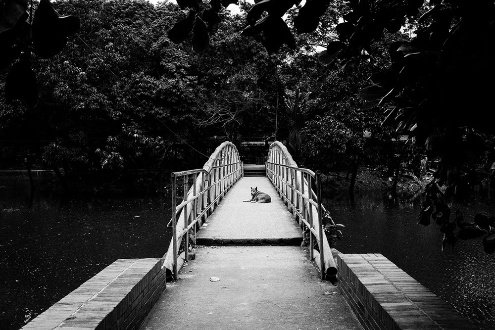 Solitude: Photo Series By Samiran Chakraborty