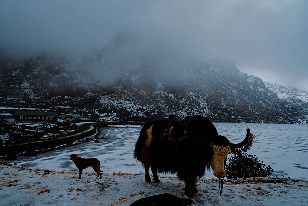 The Untold Story Of Sikkim: Photo Series By Arif Zaman