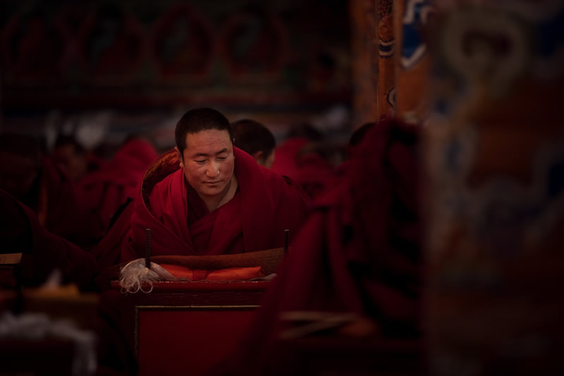 The Daily Life Of Tibetan Buddhist In The Temple By Li Ye 