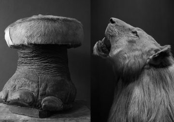 My Personal Best: South African Photographer Chris Stamatiou