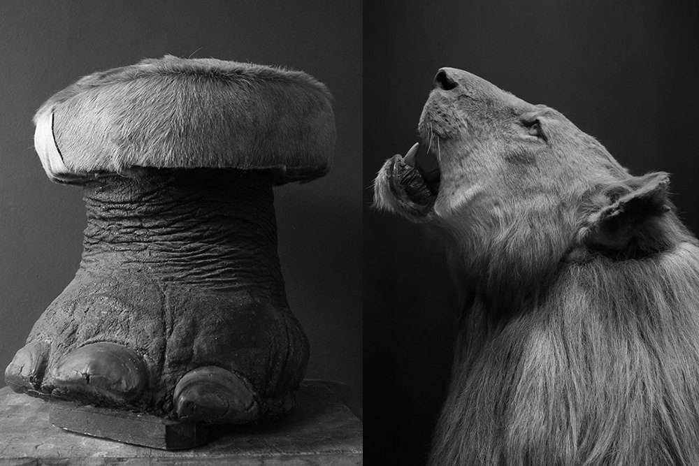 My Personal Best: South African Photographer Chris Stamatiou