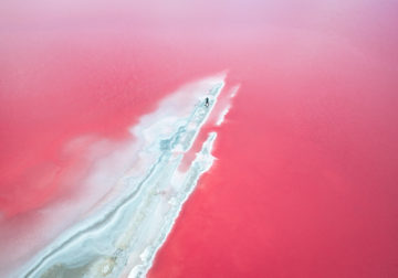 Dunaliella Salina In Camargue, France: Beautifully Captured By Paolo Pettigiani