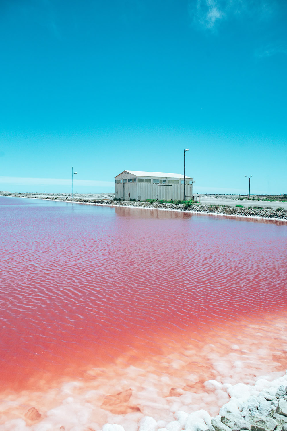 Dunaliella Salina In Camargue, France: Beautifully Captured By Paolo Pettigiani