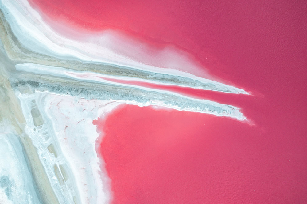 Dunaliella Salina In Camargue, France: Beautifully Captured By Paolo Pettigiani