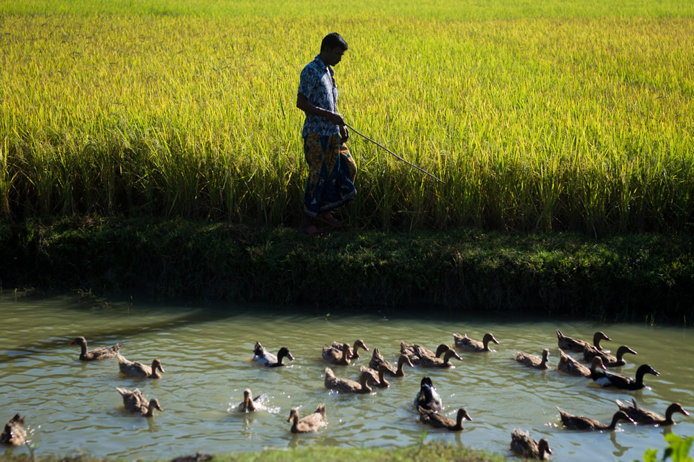 y Personal Best: Bangladeshi Photographer Jubair Bin Iqbal