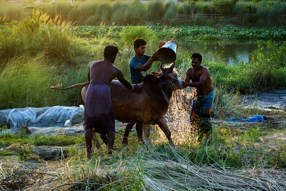 y Personal Best: Bangladeshi Photographer Jubair Bin Iqbal