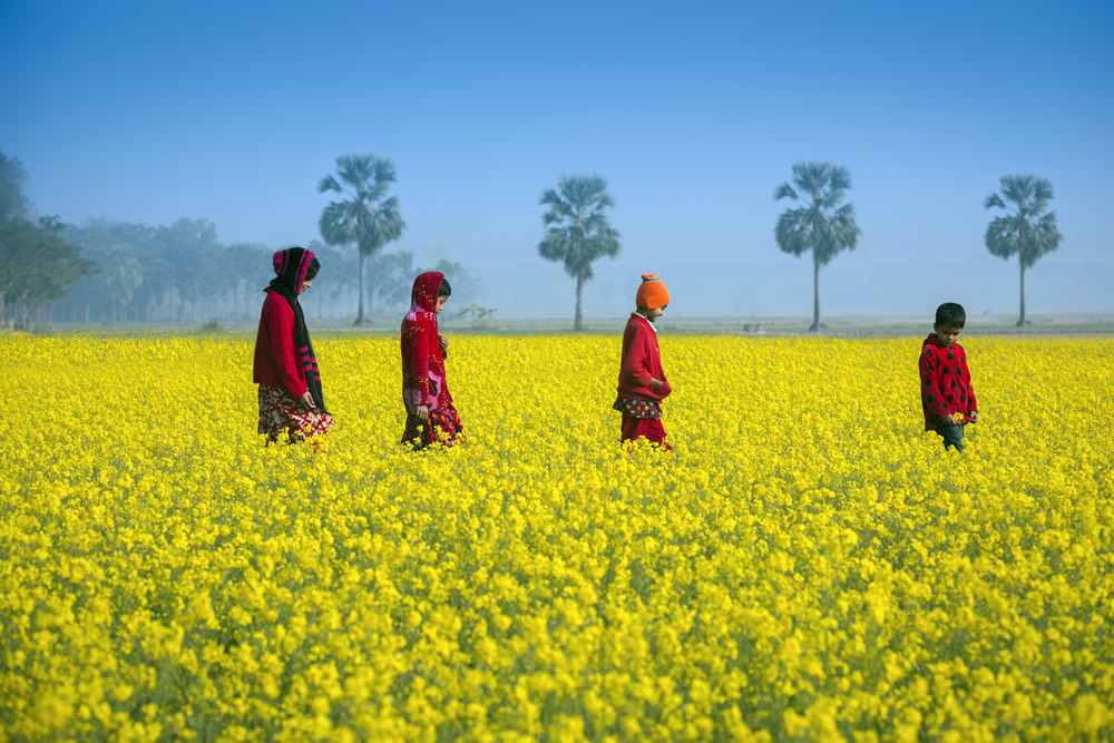 y Personal Best: Bangladeshi Photographer Jubair Bin Iqbal