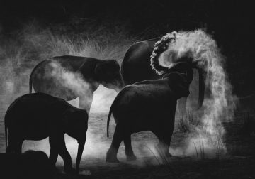 Winners Of 2021 Black & White MonoVisions Photography Awards