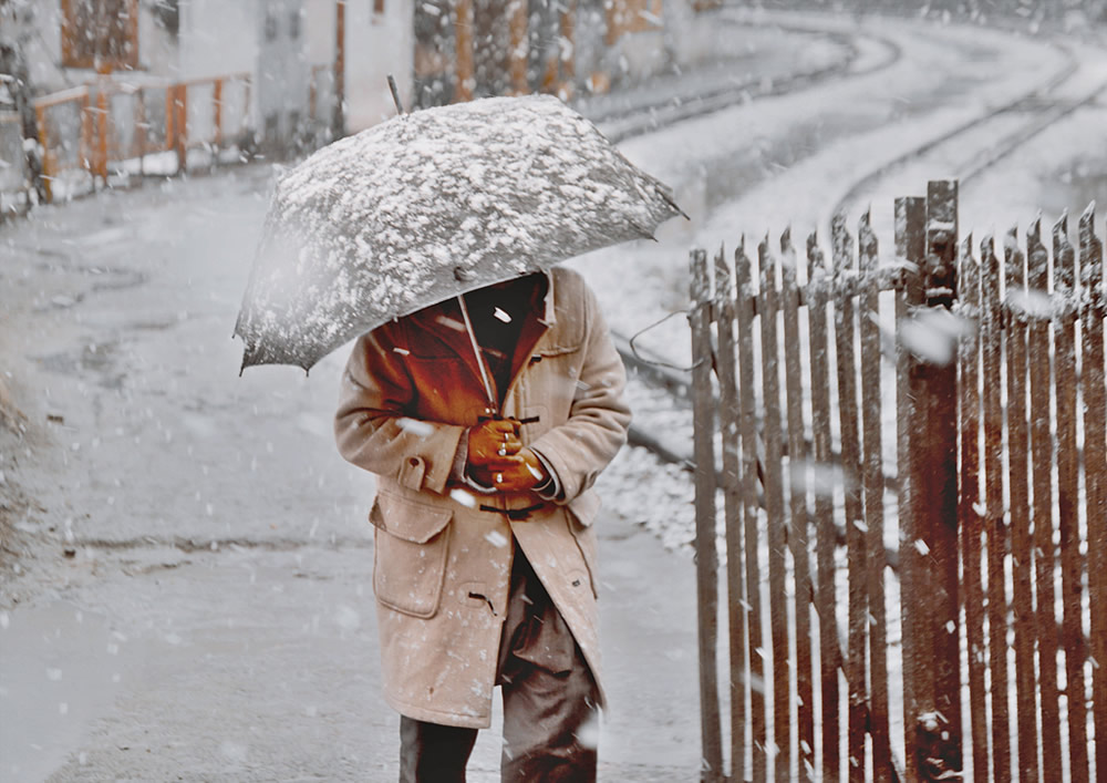 Umbrellas: Inseparable Companions By Chanda Mathur