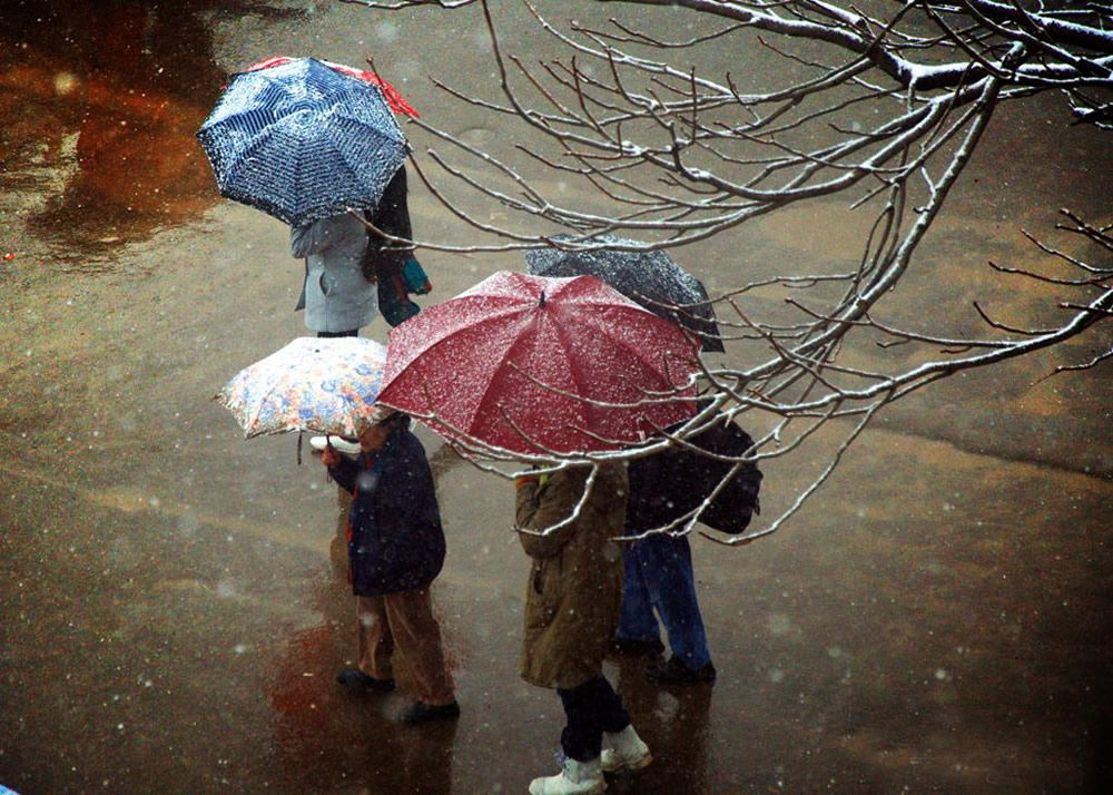 Umbrellas: Inseparable Companions By Chanda Mathur