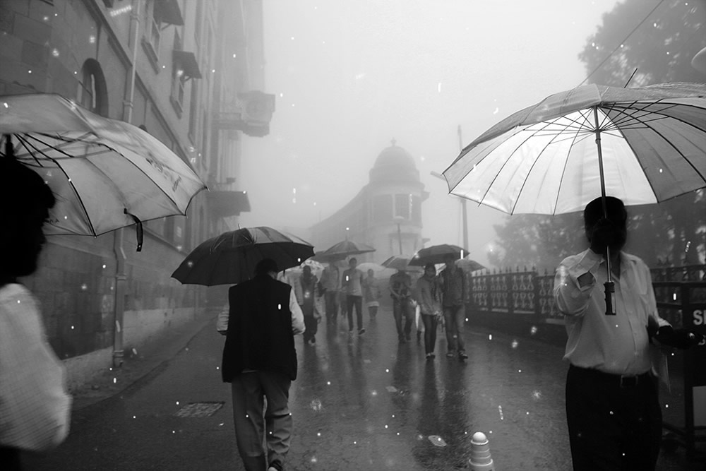 Umbrellas: Inseparable Companions By Chanda Mathur
