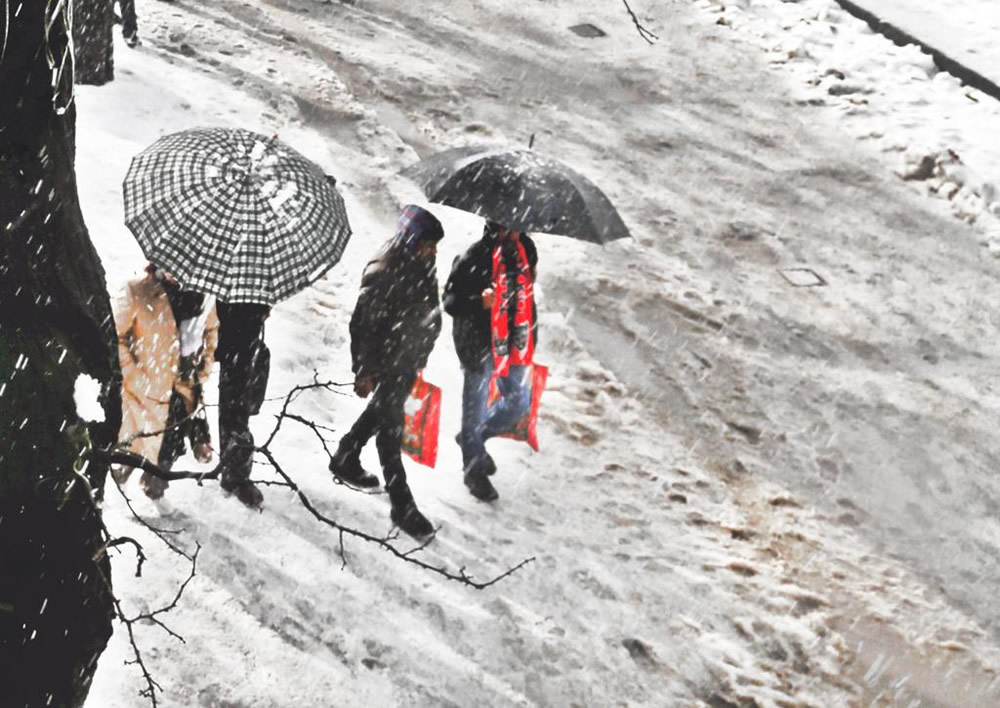 Umbrellas: Inseparable Companions By Chanda Mathur