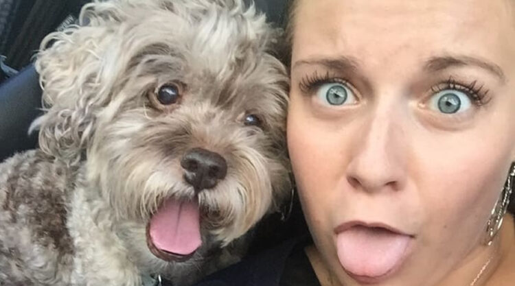 26 Animals Who Don’t Want To Take Selfies But Still Look Very Cute And Funny