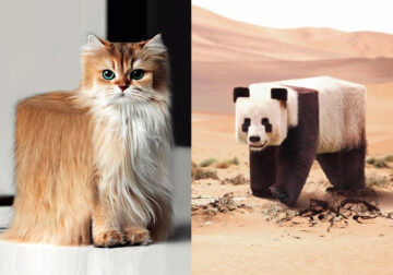 Digital Artist Aditya Aryanto Changes Animals To Be Shaped Like Cubes