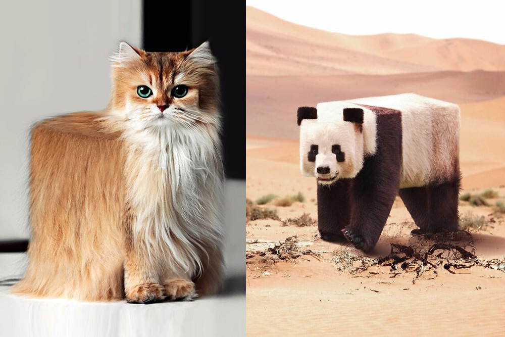 Digital Artist Aditya Aryanto Changes Animals To Be Shaped Like Cubes