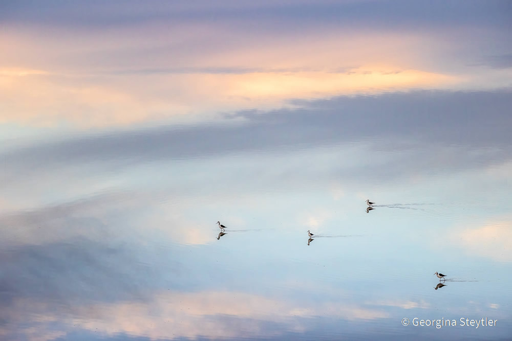 Stunning Photos Of Australian Geographic Nature Photographer of the Year