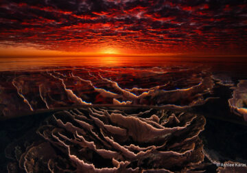 Australian Geographic Nature Photographer of the Year