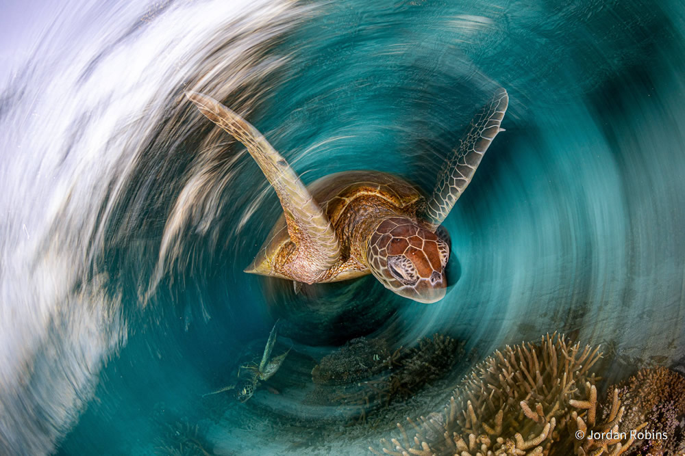 Stunning Photos Of Australian Geographic Nature Photographer of the Year