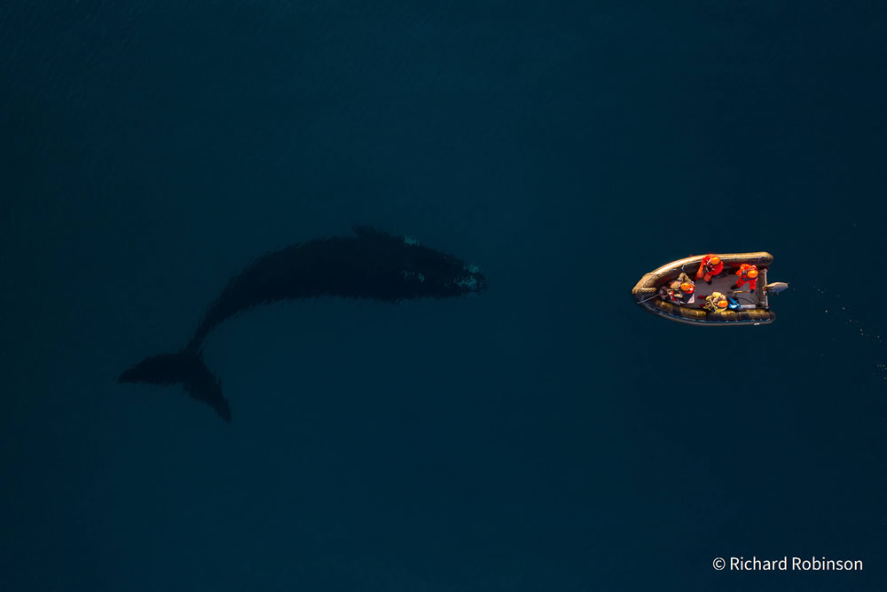 Stunning Photos Of Australian Geographic Nature Photographer of the Year